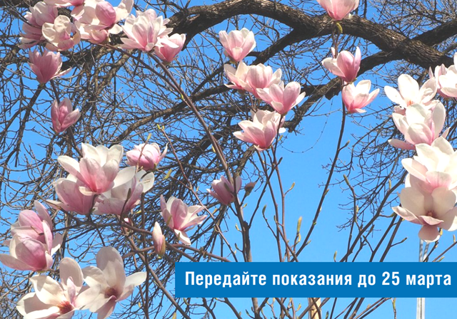 photo 19 03 2025